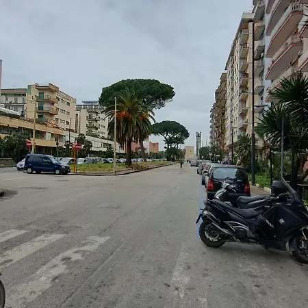 Zelia Naples